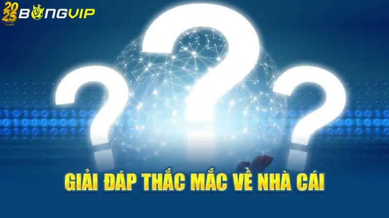 Top câu hỏi thường gặp khi tham gia cá cược online bongvip