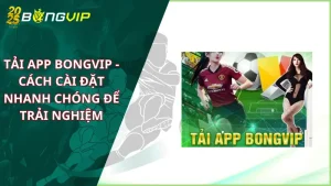 tải app Bongvip